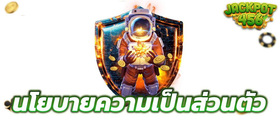 นโยบายความเป็นส่วนตัว